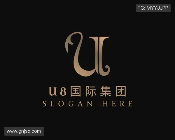 发现U8国际集团