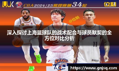 深入探讨上海篮球队的战术配合与球员默契的全方位对比分析